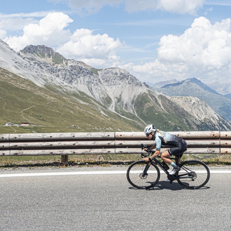 Ciclismo Stelvio GM 25 05441 Ciclismo Stelvio GM 25 05441