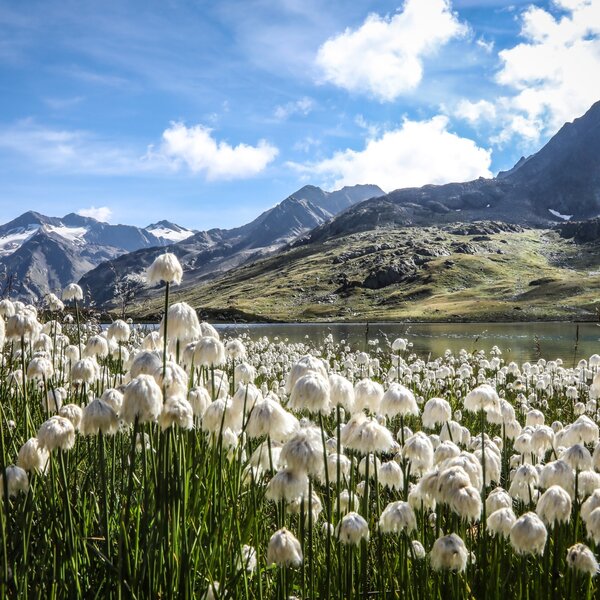 Enjoy Passo Gavia Ph. Parco Nazionale Dello Stelvio (4) 1 Enjoy Passo Gavia Ph. Parco Nazionale Dello Stelvio (4) 1