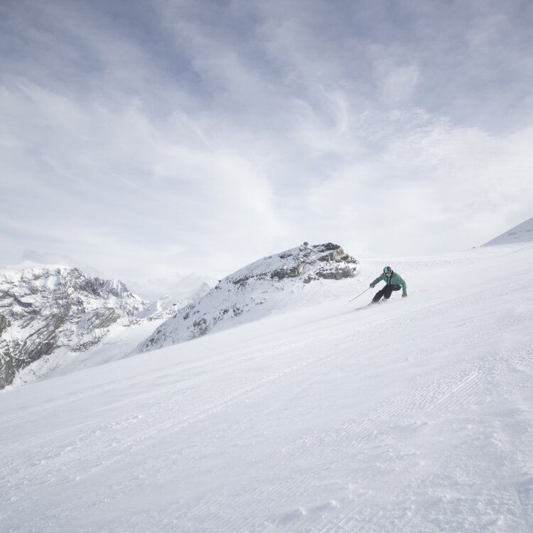 Stelvio Sci Estivo Ph Blossom   Outdoor (35) Stelvio Sci Estivo Ph Blossom   Outdoor (35)