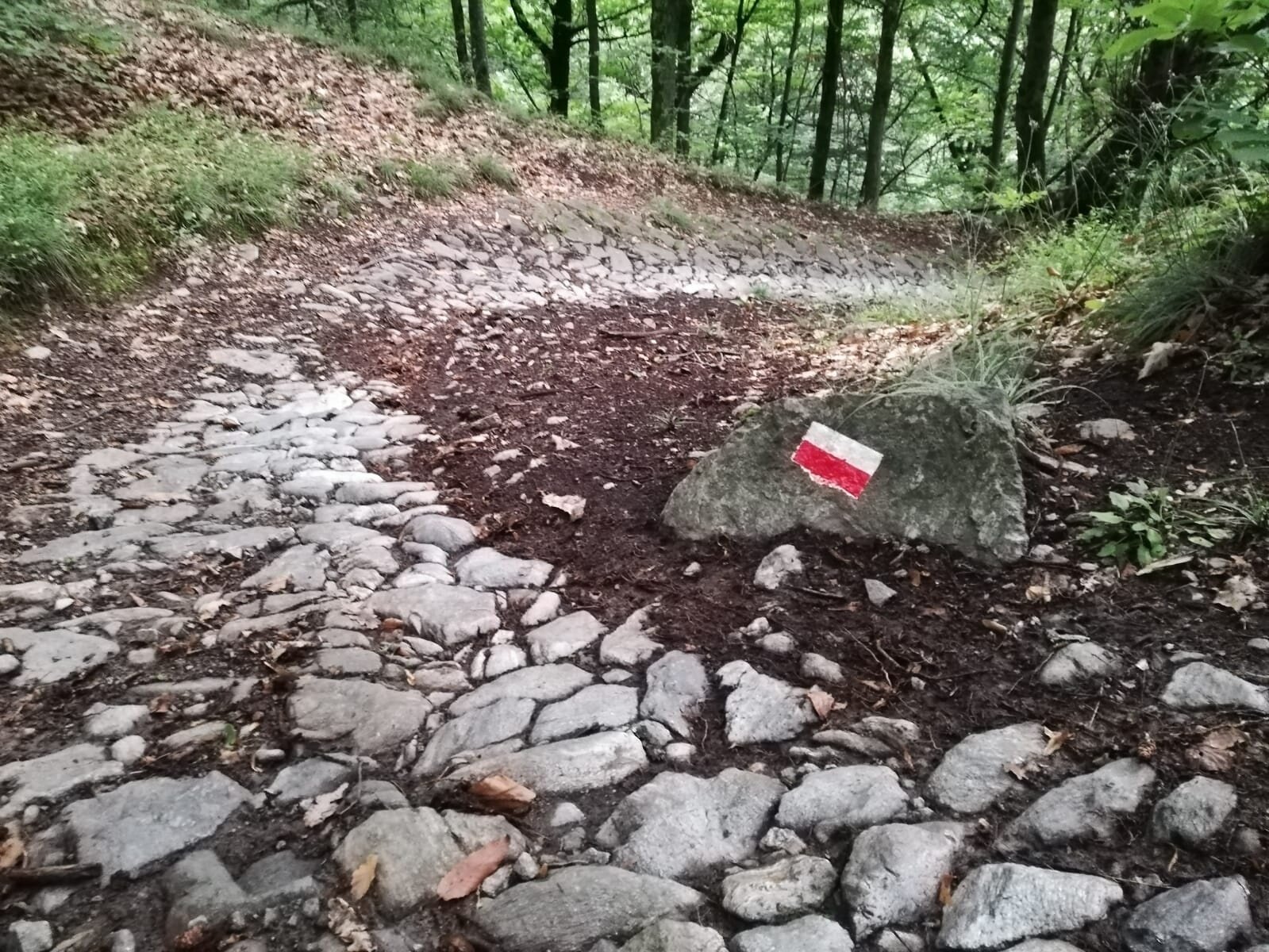 mulattiera per Valbona mulattiera per Valbona