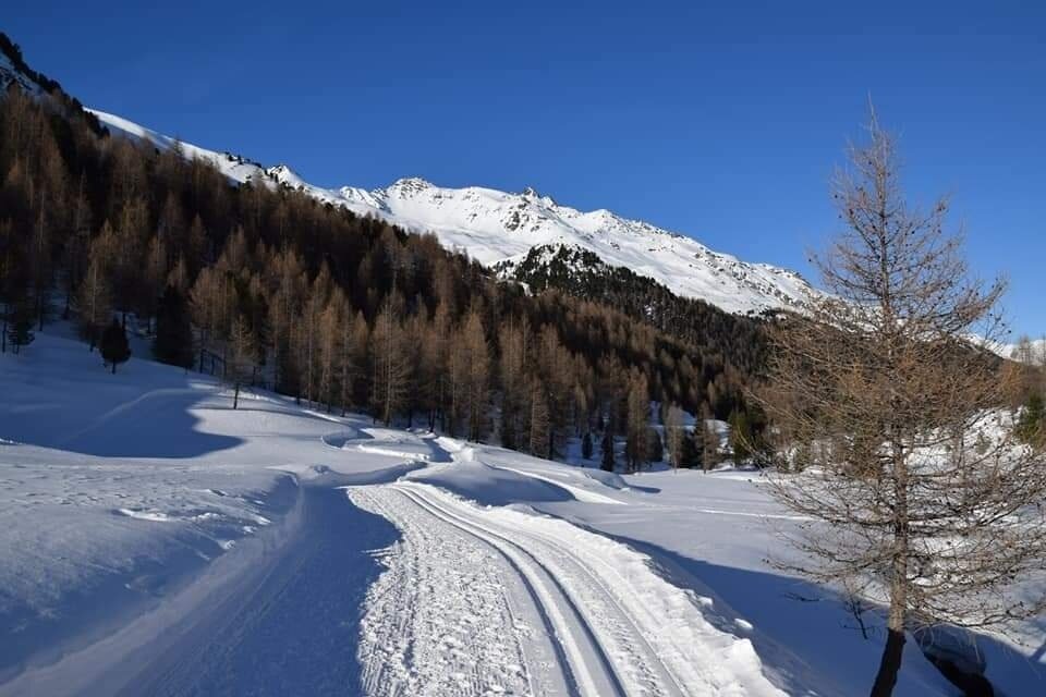 Img2 97174351 Default Variant Img2 97174351 Default Variant