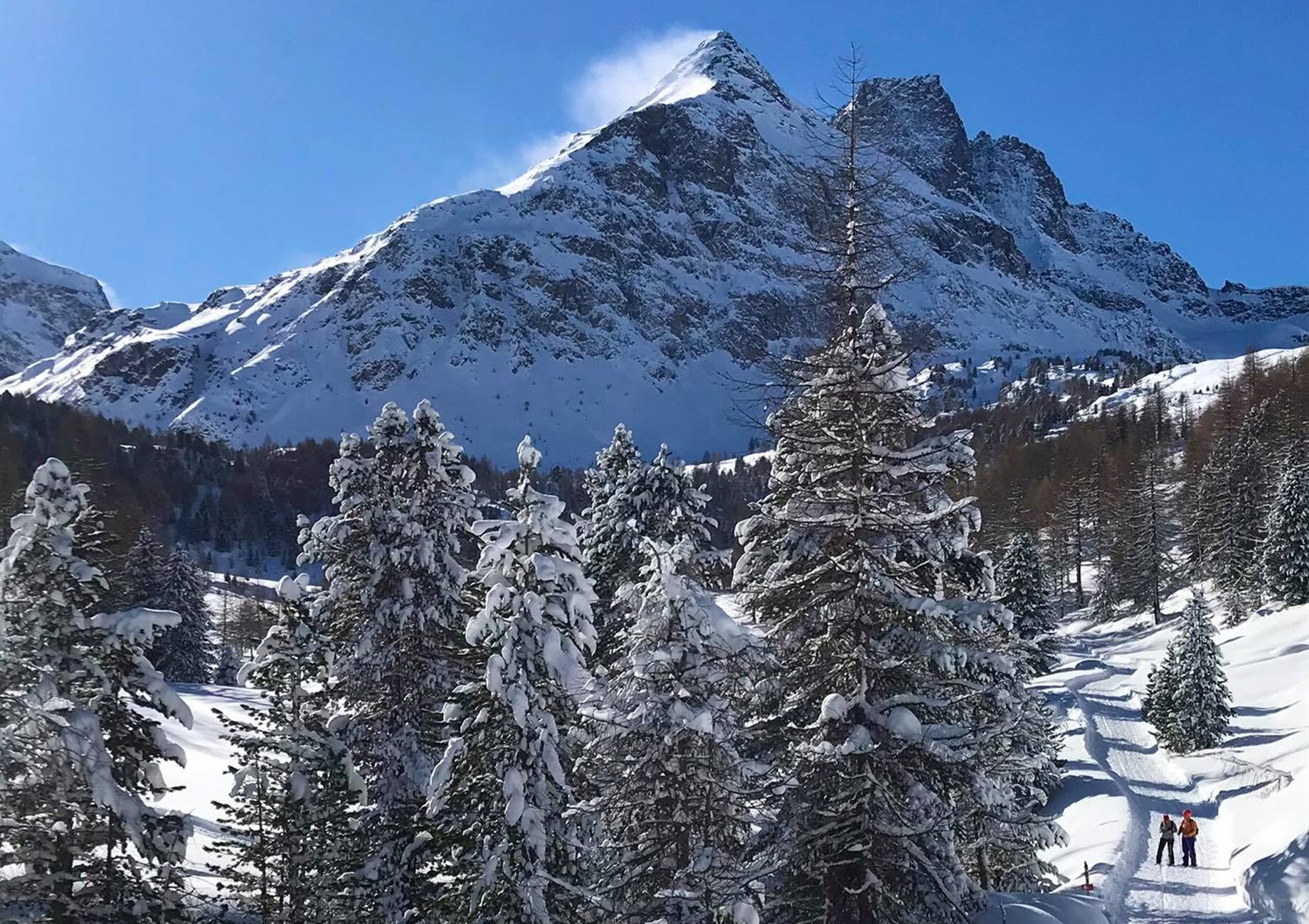 Img2 97174867 Default Variant Img2 97174867 Default Variant